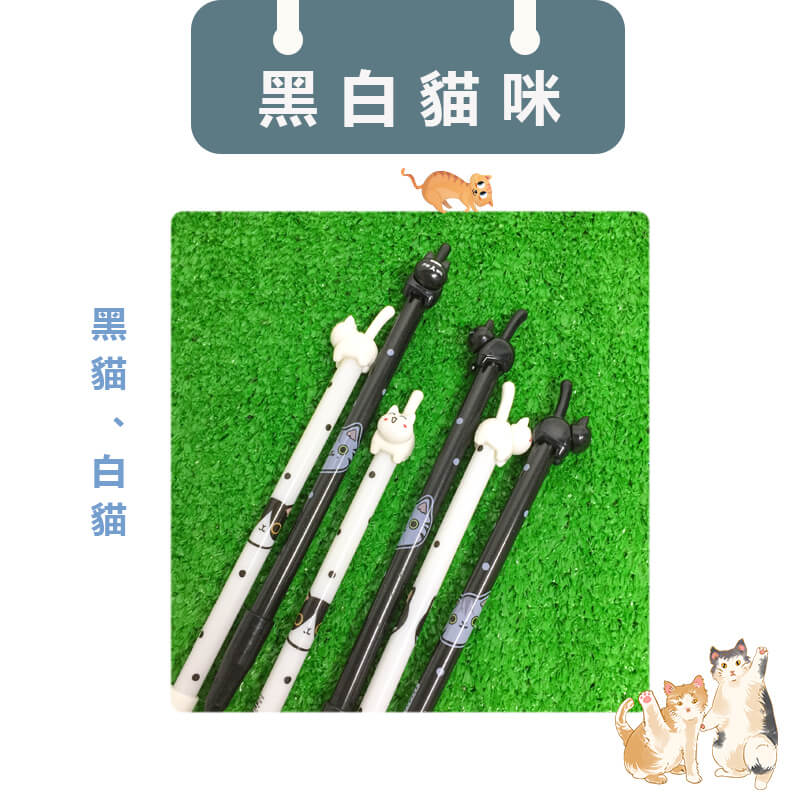 5-1黑白貓咪