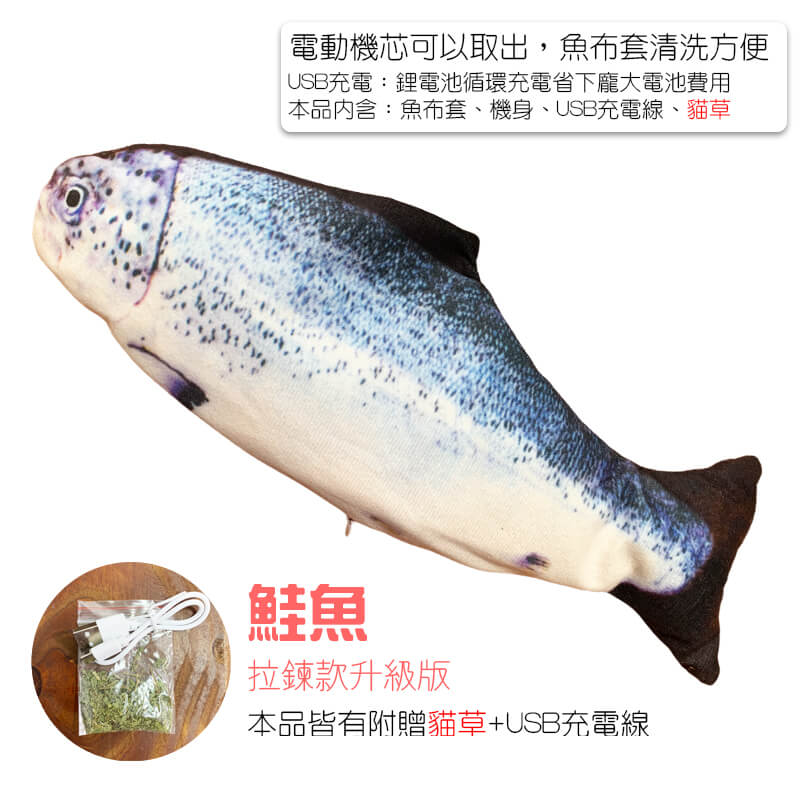 鮭魚-1
